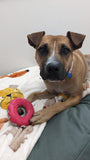 Natural Rubber Donut Treat Release Toy