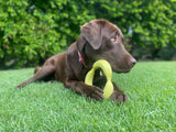 Natural Rubber Banana Ring Treat Release Toy