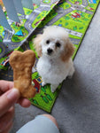 Handmade Peanut Butter & Pumpkin Dog Biscuits